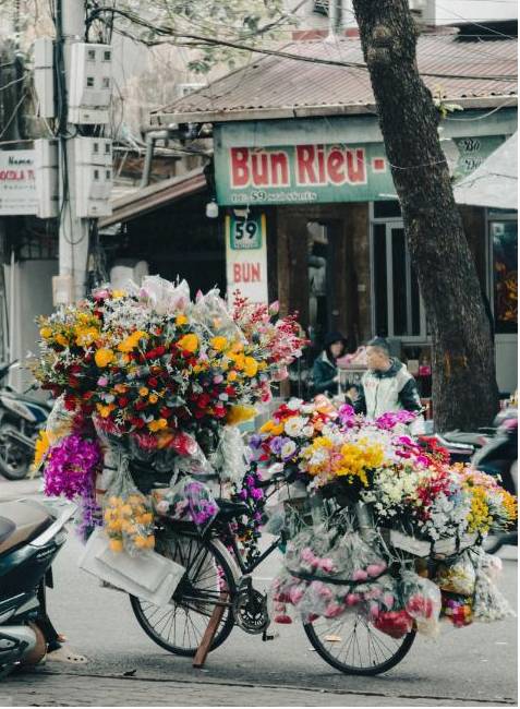 Sydney floral workshop background