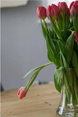Students arranging flowers in Sydney