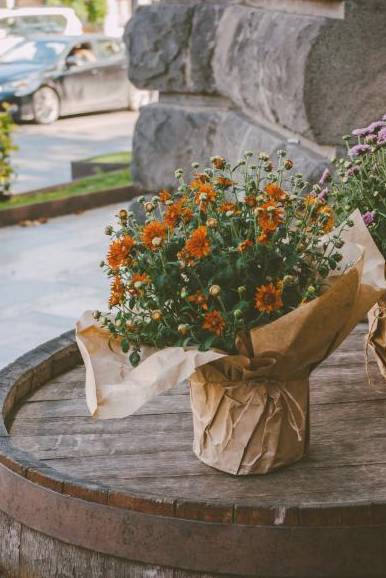Instructor arranging flowers