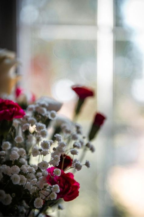 Seasonal blooms backdrop