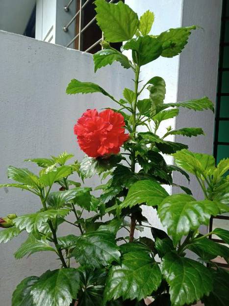 Spring bouquet example